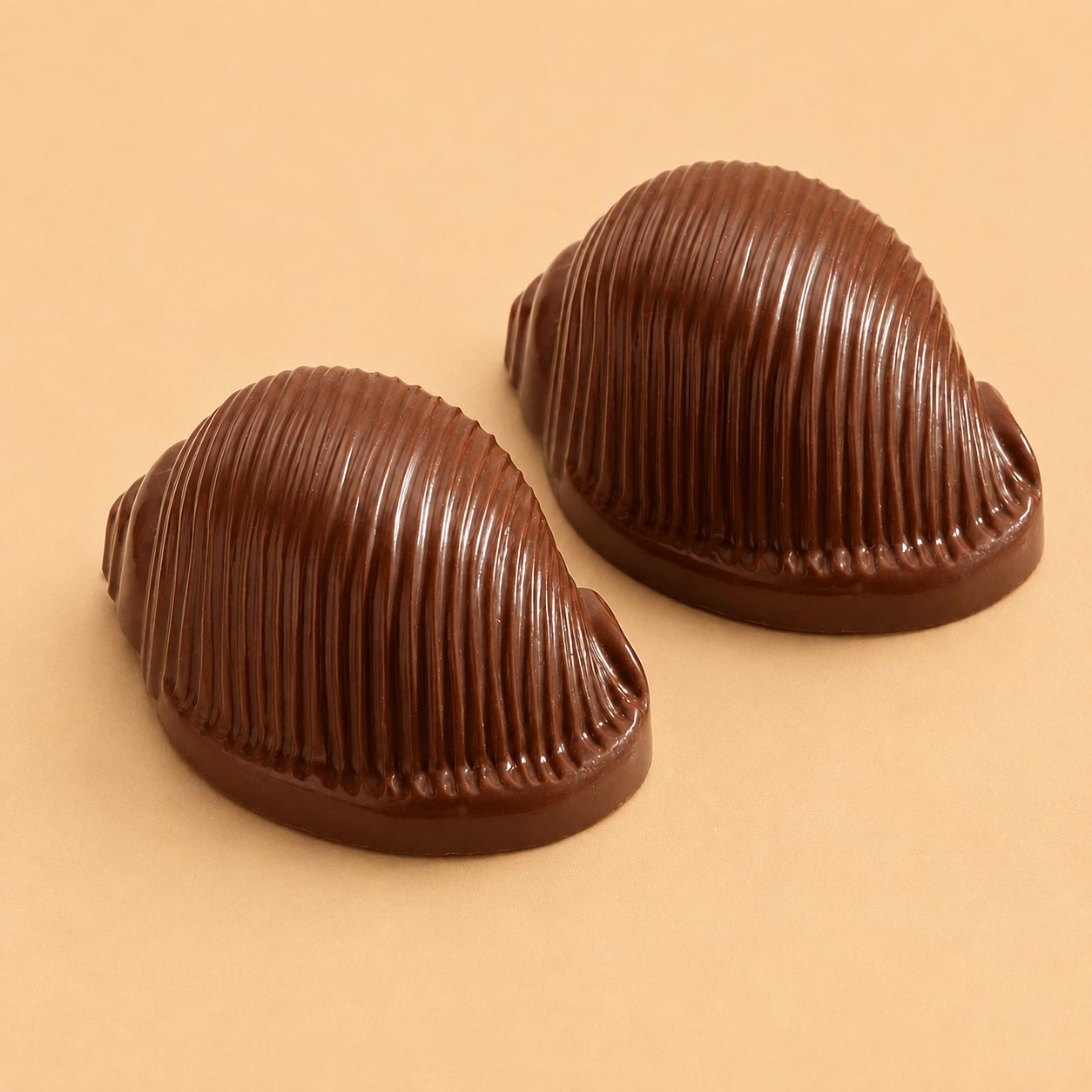 Chocolate Mould · CVP2118
