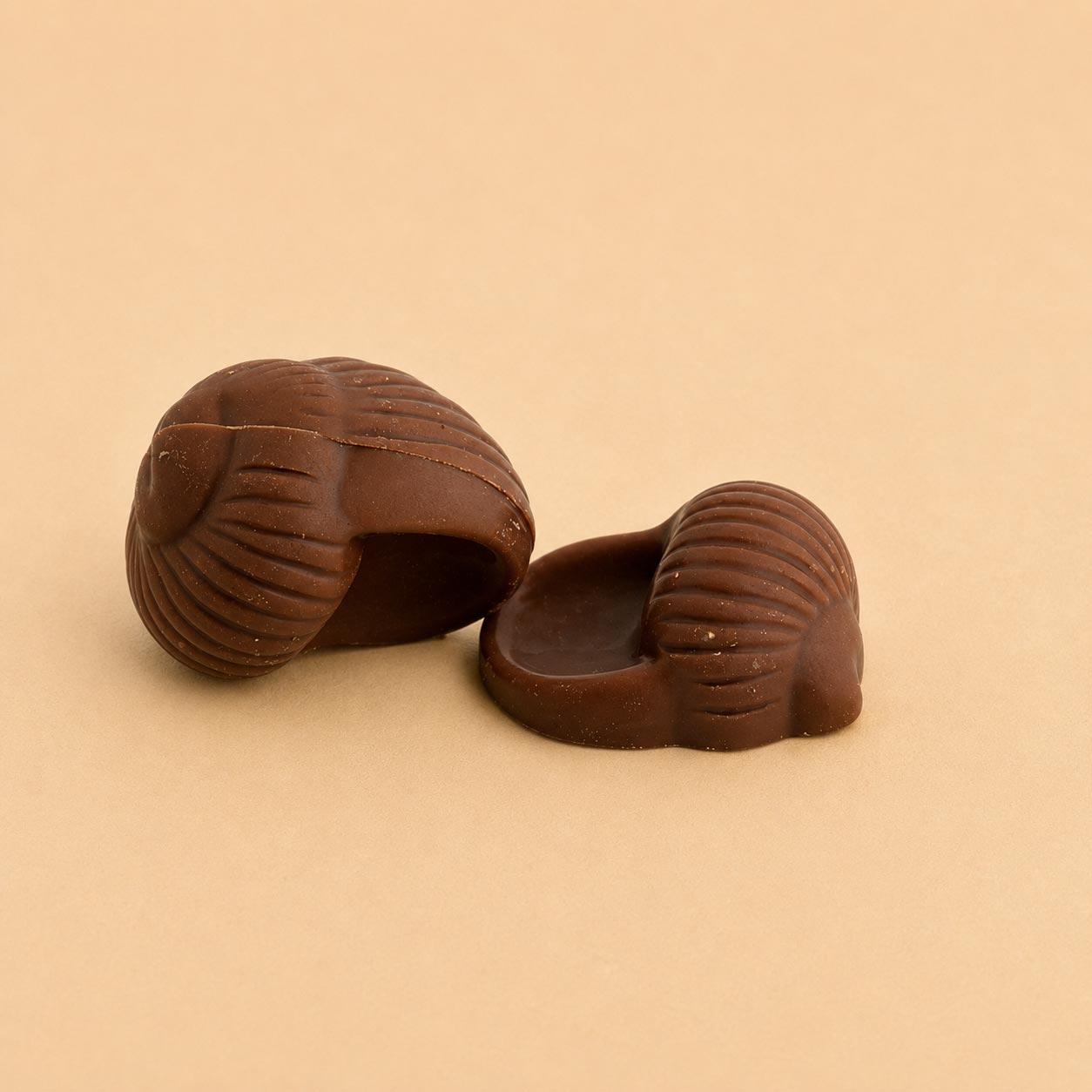 Chocolate Mould · CVP2294